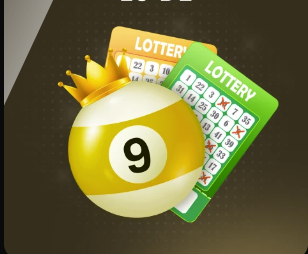 维尔茨父亲：维尔茨增加了肌肉量 最初几个月一直在适应英超